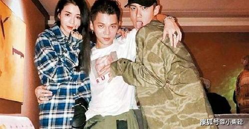 明星网红一起拍照,光影交织的璀璨瞬间