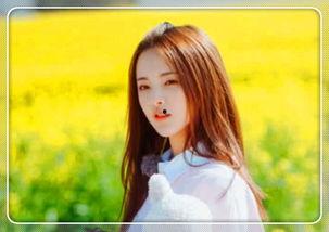 明星网红一起拍照,光影交织的璀璨瞬间