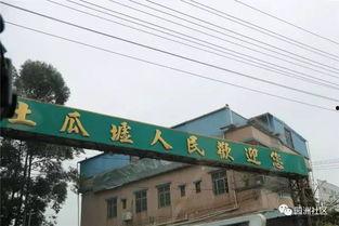 今日关注园洲土瓜圩新闻,探寻传统圩市新风采