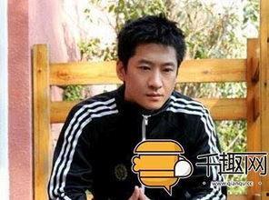 明星网红占多少人