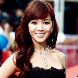 明星网红占多少人