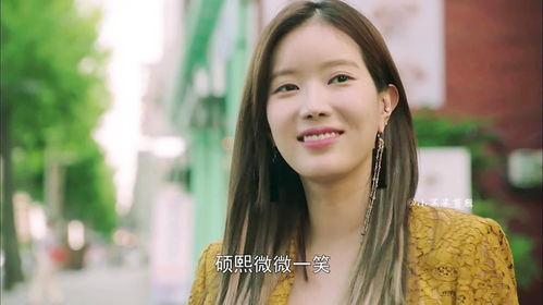 明星网红占多少人