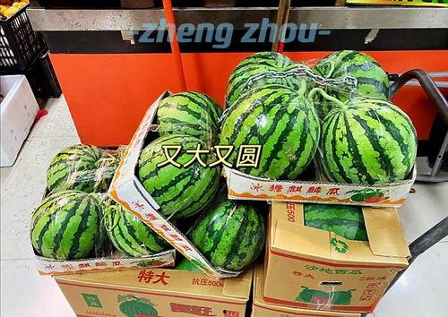 郑州今日吃瓜,吃瓜群众聚焦热点事件