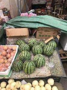 郑州今日吃瓜,吃瓜群众聚焦热点事件