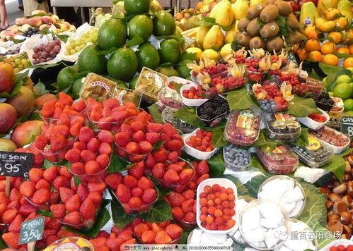 今日瓜沥水果市场价格,今日新鲜价览，热门品种行情速递