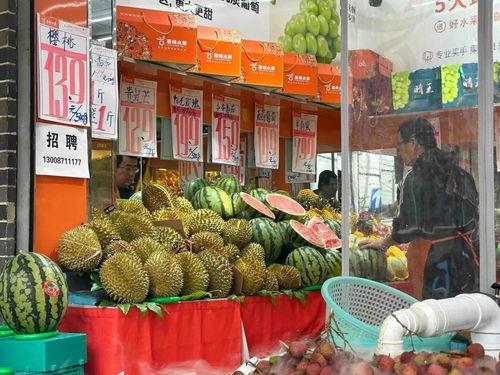 今日瓜沥水果市场价格,今日新鲜价览，热门品种行情速递