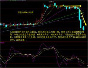 小瓜今日行情走势分析图,今日波动解析