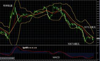 小瓜今日行情走势分析图,今日波动解析