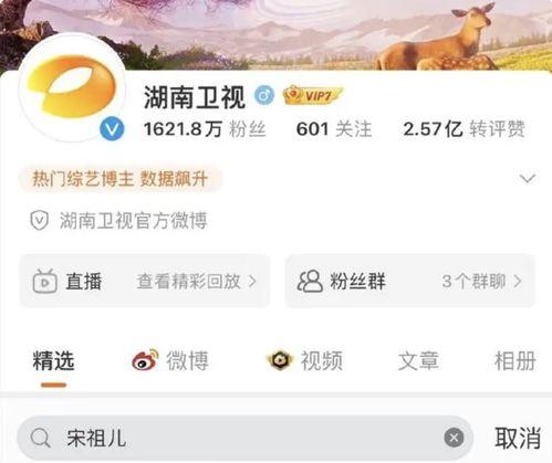 明星网红塌房原因分析,原因剖析与反思