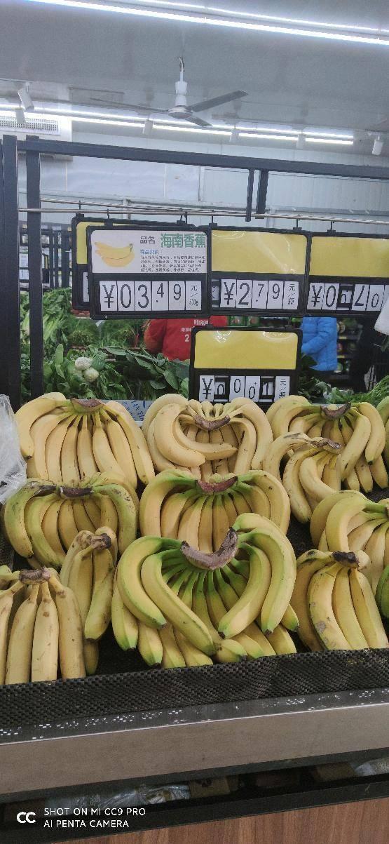 今日蒲瓜菜价,涨跌波动，市民关注焦点