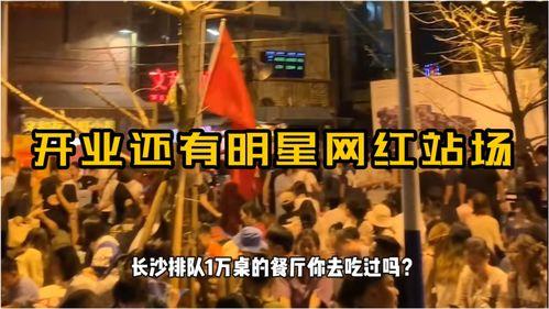 酒吧开业明星网红叫什么,明星网红齐聚一堂