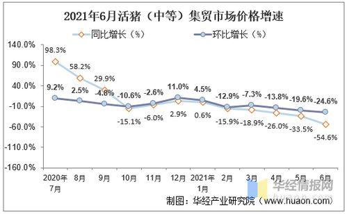 今日小瓜价位走势图表,今日走势图表深度解析