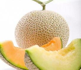 黄金蜜瓜今日达,甜蜜滋味，新鲜到家