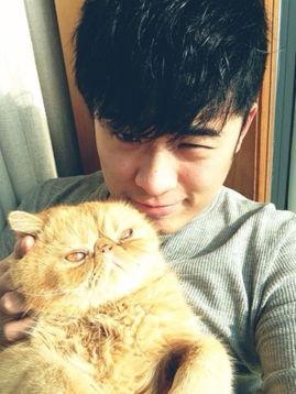 萌叔明星网红图片高清,明星网红高清萌态大揭秘