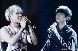 明星网红综艺歌词是什么