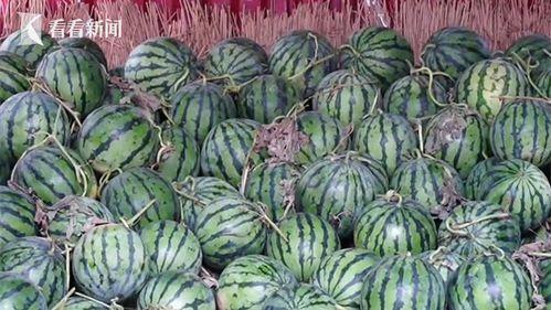 丽水今日热瓜价格行情,涨跌互现，市民关注度高