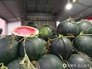 丽水今日热瓜价格行情,涨跌互现，市民关注度高