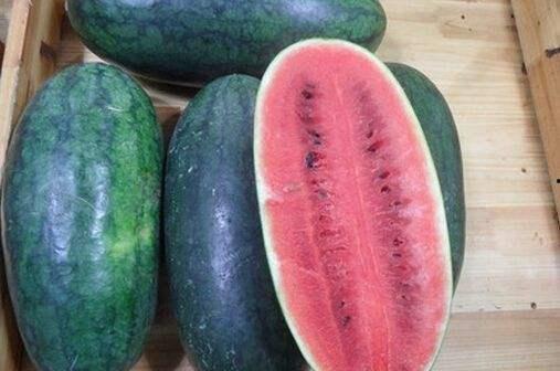 黑料吃瓜网今日大瓜