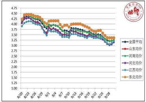 今日湛江毛瓜价格走势,今日行情解析与趋势预测”
