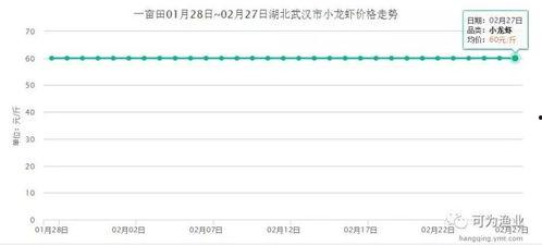 今日湛江毛瓜价格走势,今日行情解析与趋势预测”