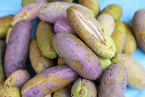 今日头条八月瓜,揭秘今日头条热门话题背后的故事